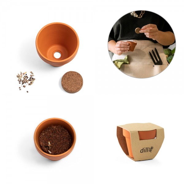 ANETHUM. Vaso in terracotta con semi di aneto