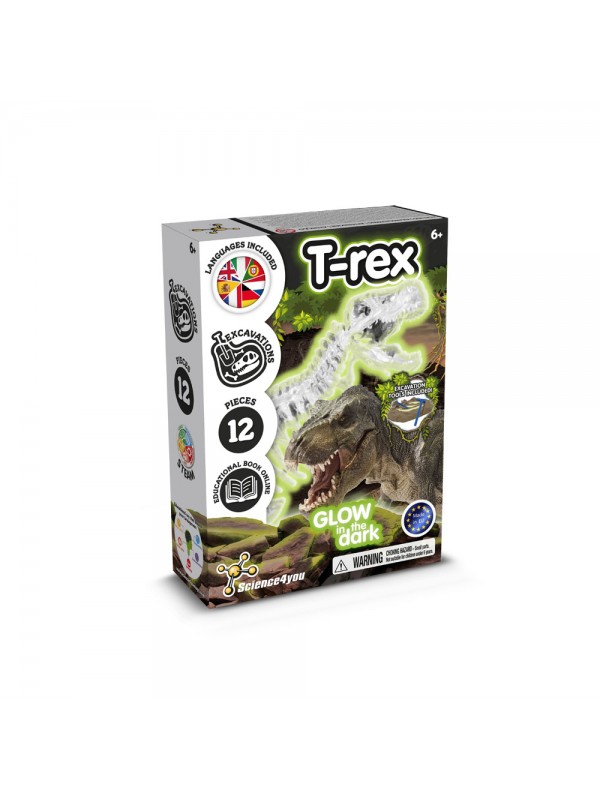 Fossil Excavation Kit I. Gioco educativo per bambini Fossil Excavation Kit I. Gioco educativo per bambini