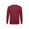 THC MILAN. Pullover da uomo con scollo a V in cotone e poliammide - Bordeaux