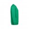 THC DELTA. Felpa (unisex) in cotone e poliestere - Verde