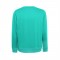 THC COLOMBO. Felpa (unisex) in spugna italiana non garzata - Verde turchese