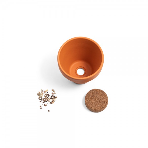 ANETHUM. Vaso in terracotta con semi di aneto