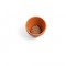 ANETHUM. Vaso in terracotta con semi di aneto