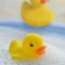 DUCK. Paperella di gomma in PVC