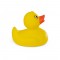 DUCK. Paperella di gomma in PVC