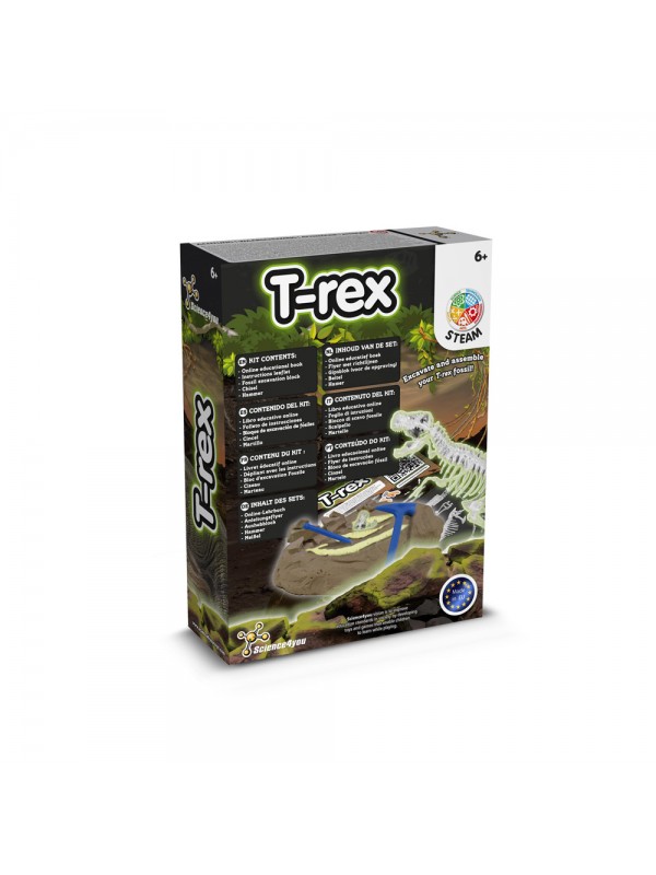 Fossil Excavation Kit I. Gioco educativo per bambini Fossil Excavation Kit I. Gioco educativo per bambini