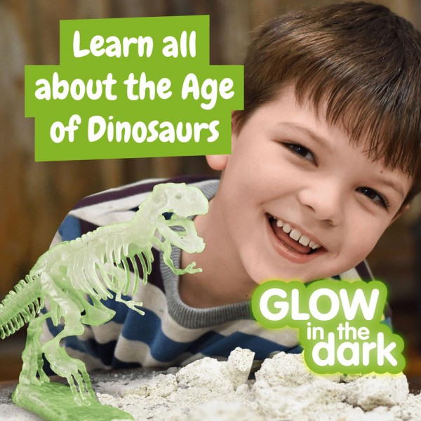 Fossil Excavation Kit I. Gioco educativo per bambini
