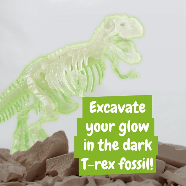 Fossil Excavation Kit IV. Gioco educativo fornito con un sacchetto regalo in tessuto non tessuto (80 g/m²)