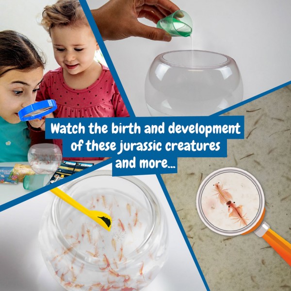 Jurassic Pets Kit I. Gioco educativo per bambini