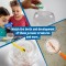 Jurassic Pets Kit I. Gioco educativo per bambini