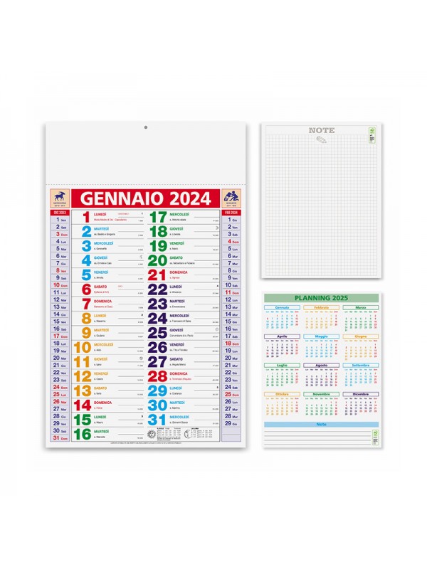 Olandese multicolor Olandese multicolor