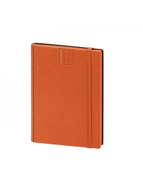 AGENDA GIORNALIERA