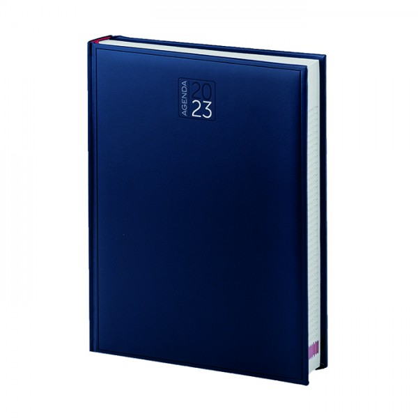 AGENDA GIORNALIERA MAXI