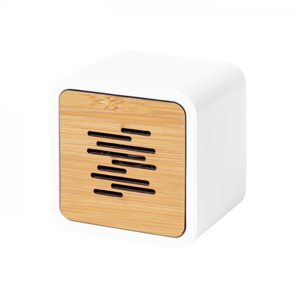 PLA SPEAKER