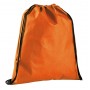 BAG T