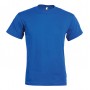 BOMBER COLOR - Royal