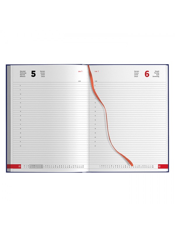 AGENDA GIORNALIERA MAXI