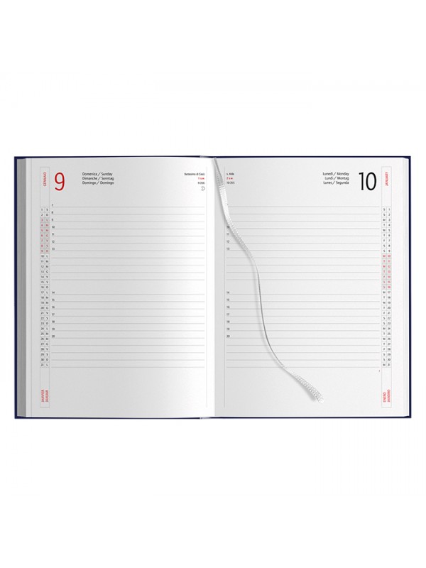 AGENDA GIORNALIERA