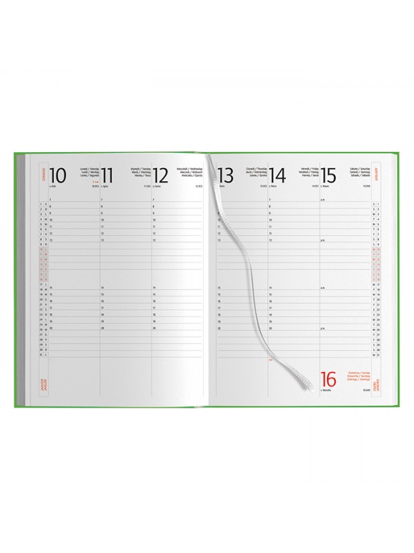 AGENDA SETTIMANALE