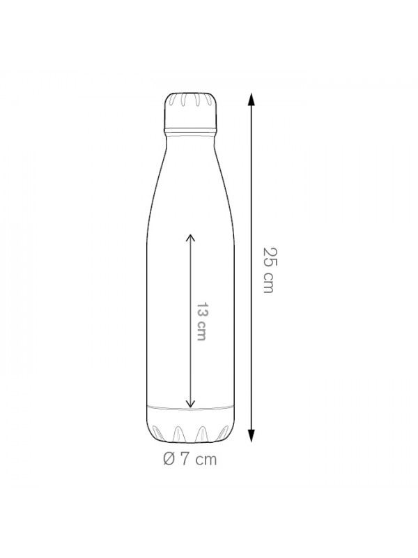 STEEL BOTTLE 500